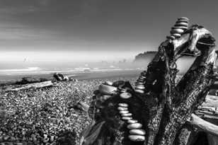 Serendipity on Rialto Beach-2374